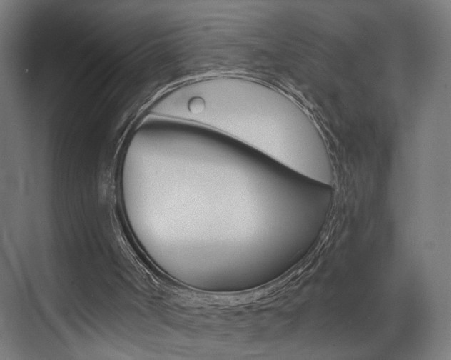 X0000074040002200608211214