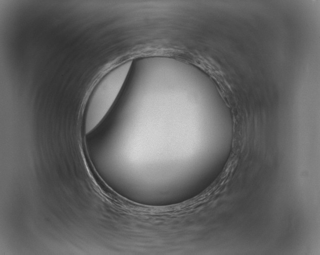 X0000074040003200608211214