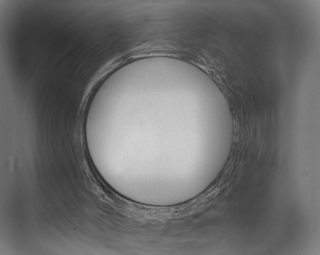 X0000074040004200608211214