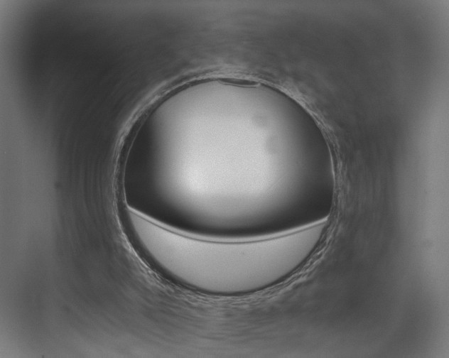 X0000074040007200608211214