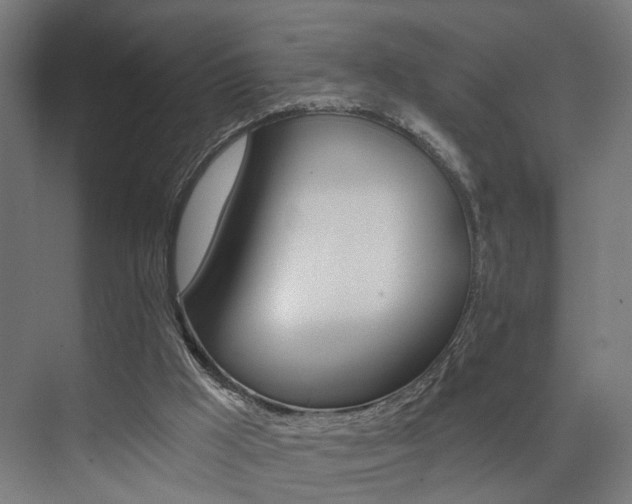 X0000074040009200608211214