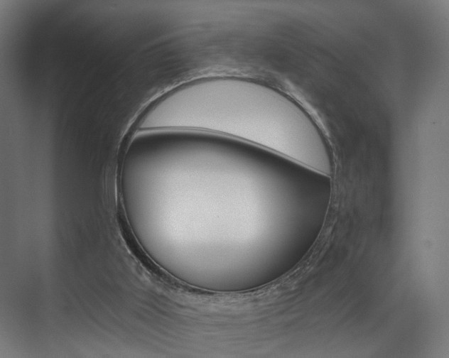 X0000074040011200608211214