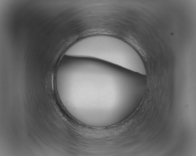 X0000074040014200608211214
