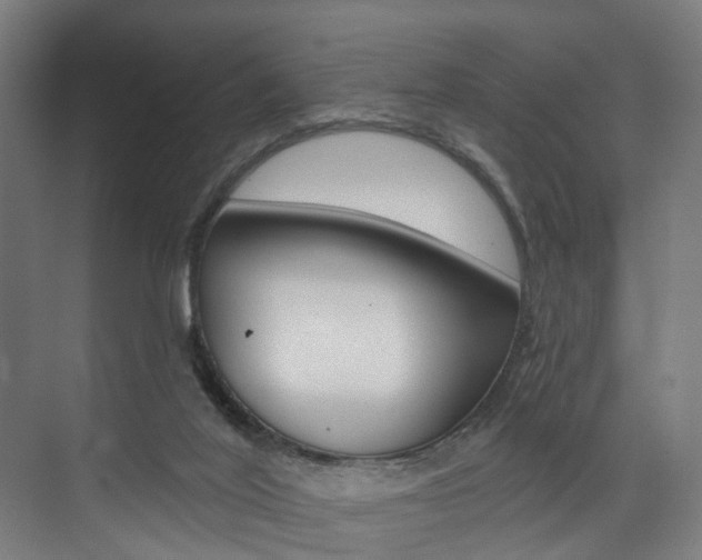 X0000074040020200608211214