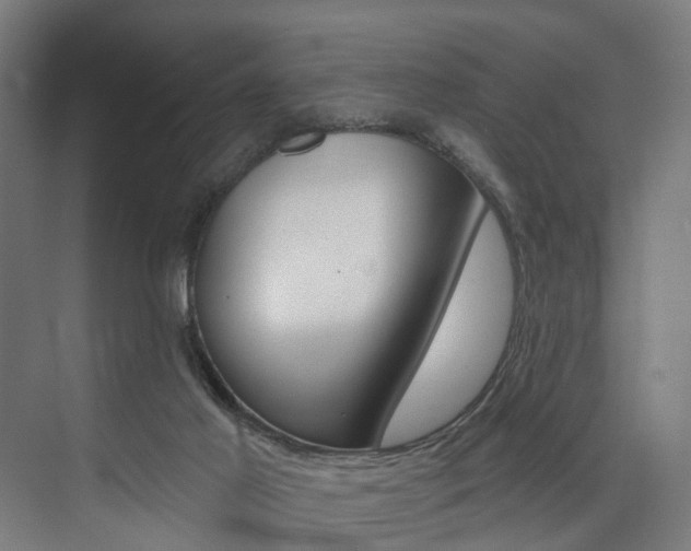 X0000074040021200608211214