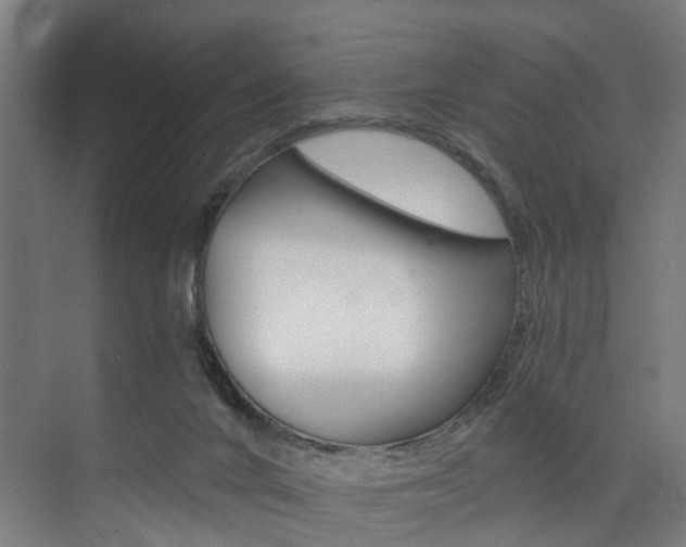 X0000074040024200608211214