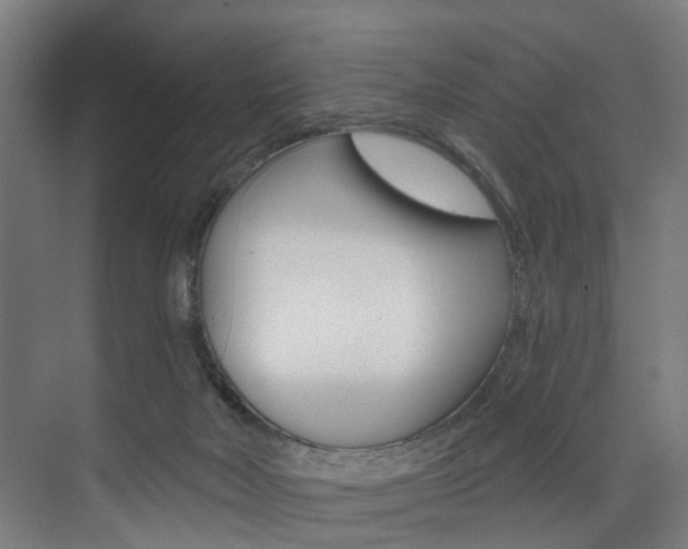 X0000074040026200608211214