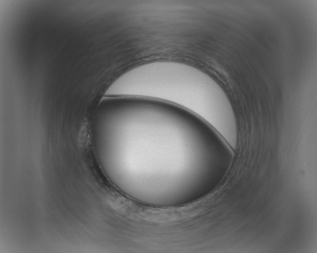 X0000074040029200608211214