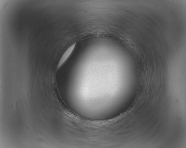 X0000074040037200608211213