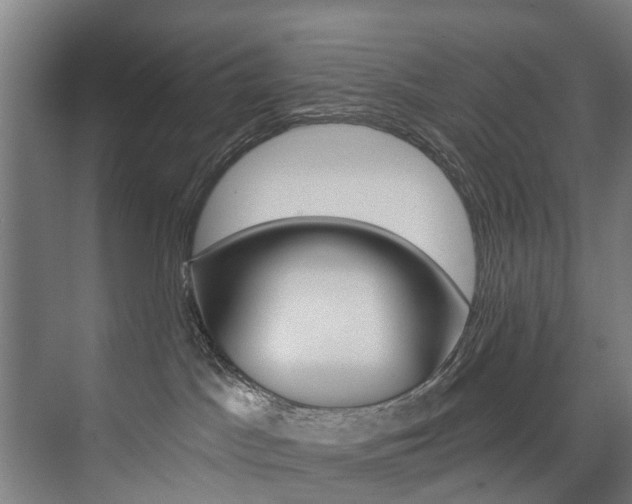X0000074040045200608211213