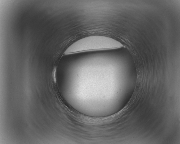 X0000074040047200608211213