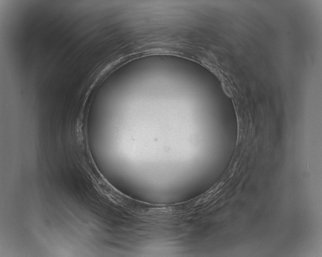 X0000074040050200608211212