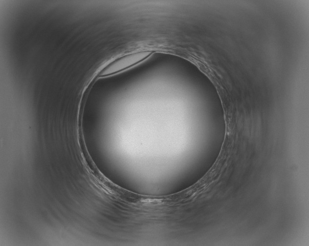 X0000074040052200608211213