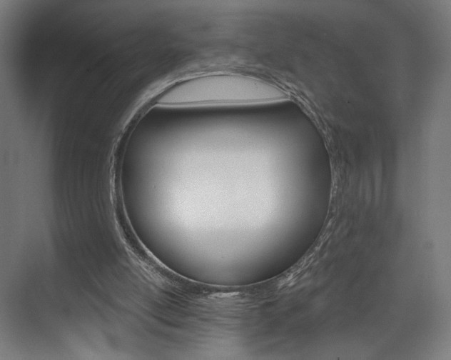 X0000074040054200608211213