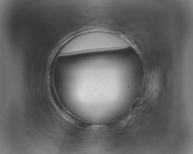 X0000074040055200608211213