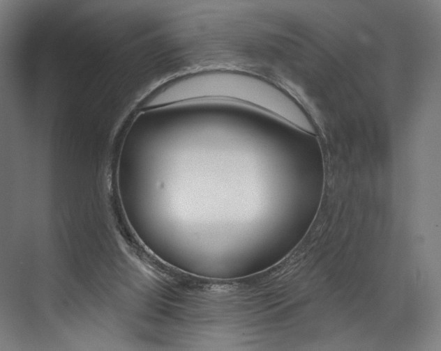X0000074040060200608211213