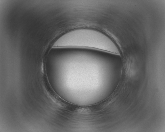 X0000074040067200608211213