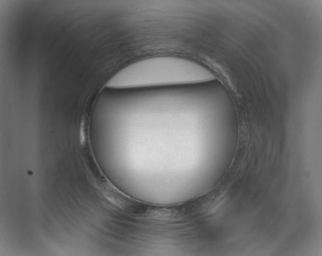 X0000074040069200608211213