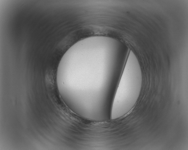 X0000074040078200608211213