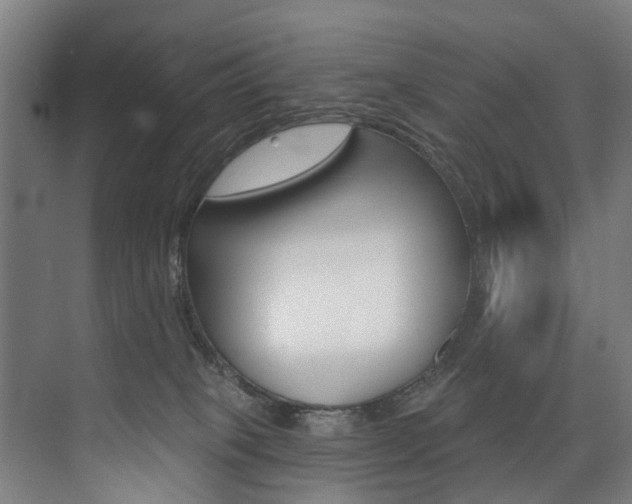 X0000074040085200608211213