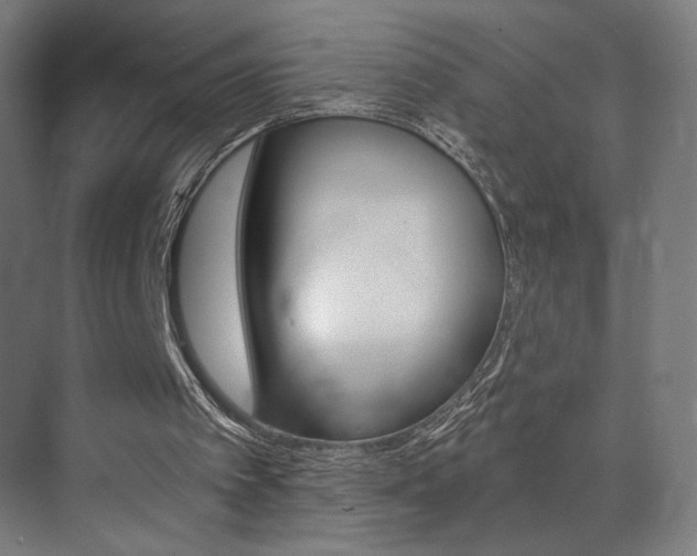 X0000074040097200608211212