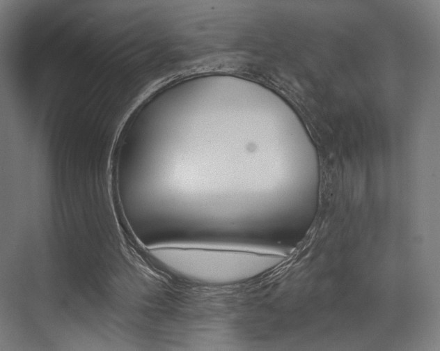 X0000074040100200608211212