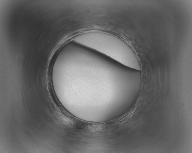 X0000074040102200608211212