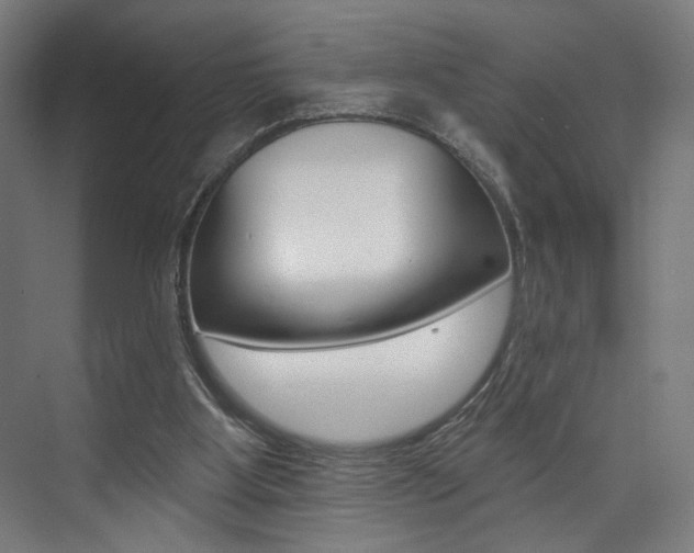 X0000074040107200608211212