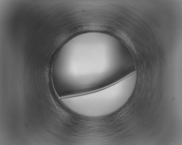 X0000074040111200608211212