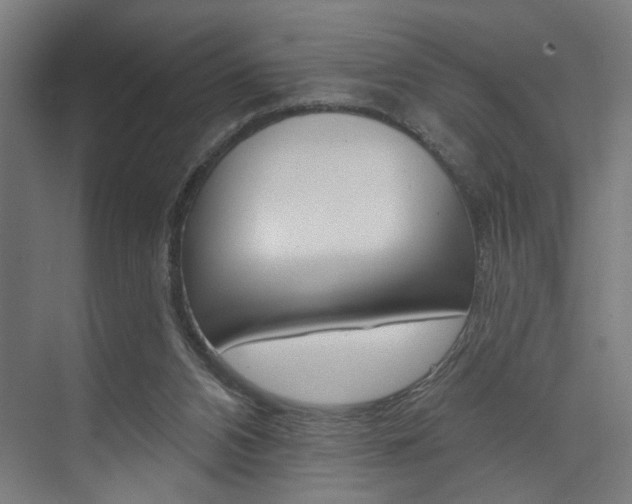 X0000074040112200608211212
