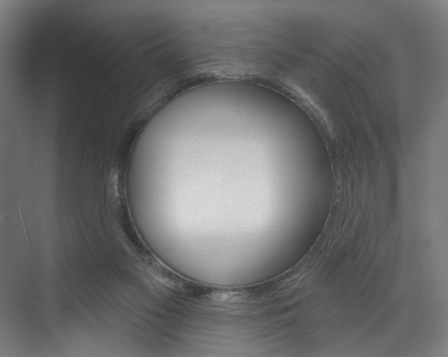 X0000074040117200608211212