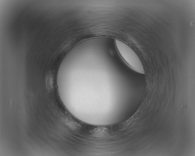 X0000074040124200608211212