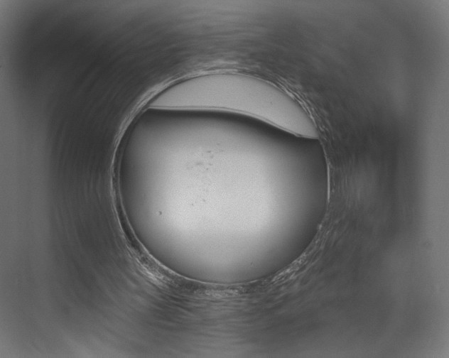 X0000074040147200608211211