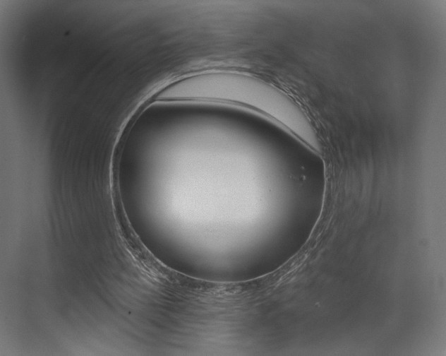 X0000074040148200608211211