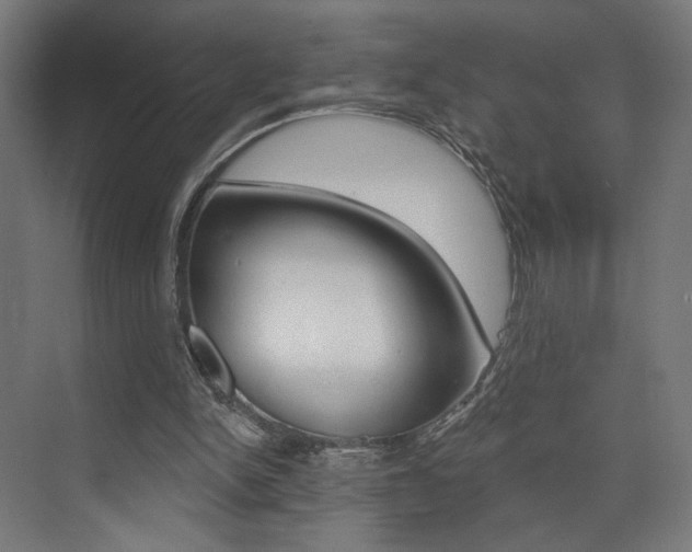 X0000074040150200608211211