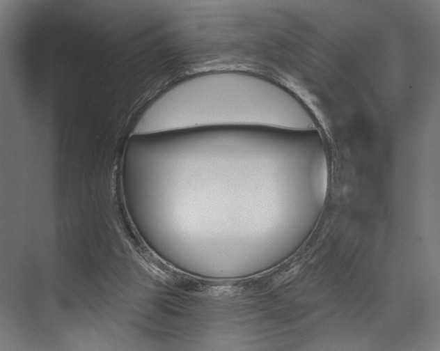 X0000074040153200608211211