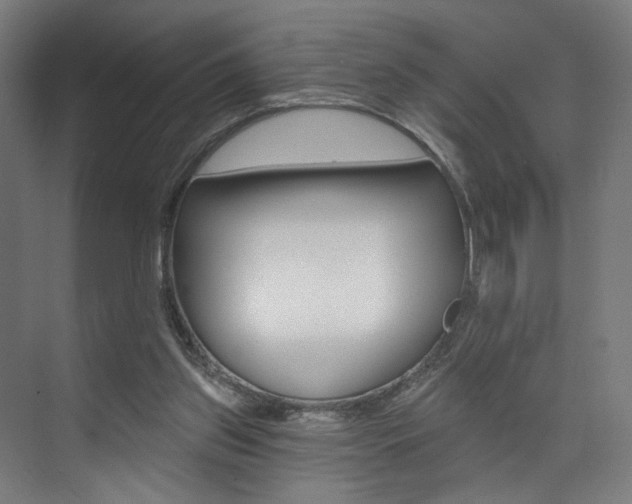 X0000074040157200608211211