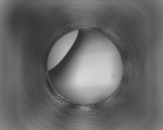 X0000074040166200608211211