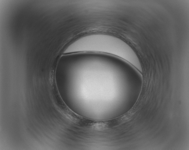 X0000074040168200608211211