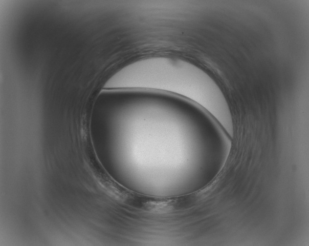 X0000074040170200608211211