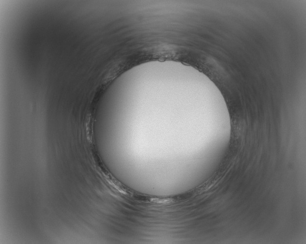 X0000074040185200608211212