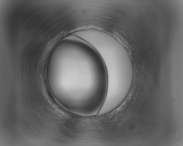 X0000074040193200608211211