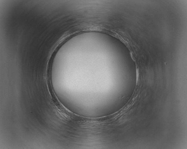 X0000074040195200608211211