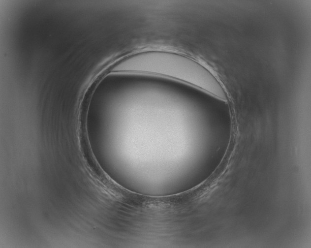 X0000074040199200608211211