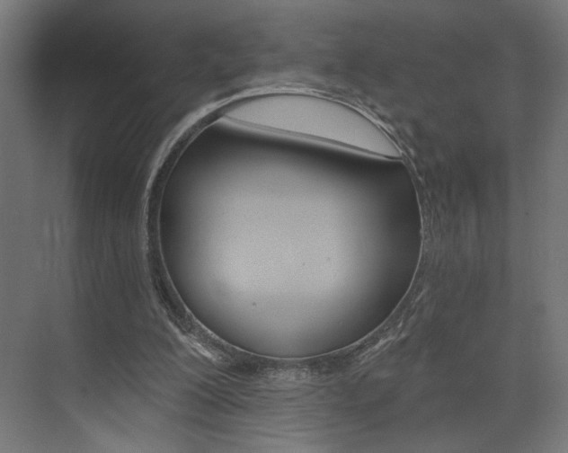 X0000074040200200608211211