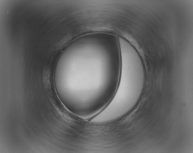 X0000074040201200608211211
