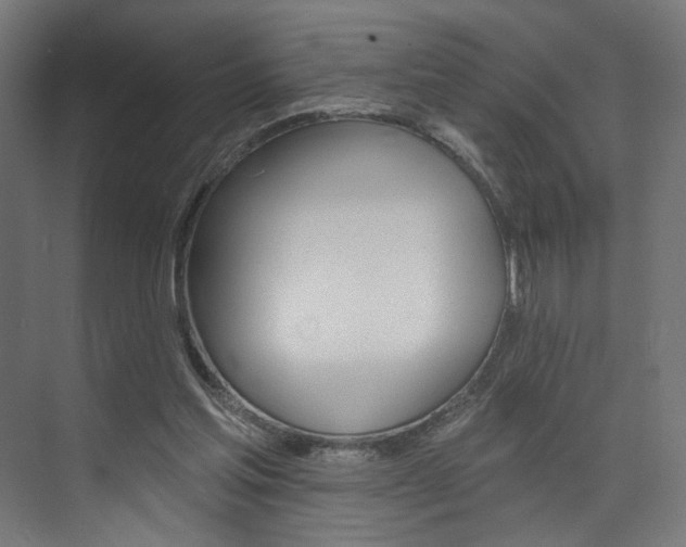 X0000074040205200608211211