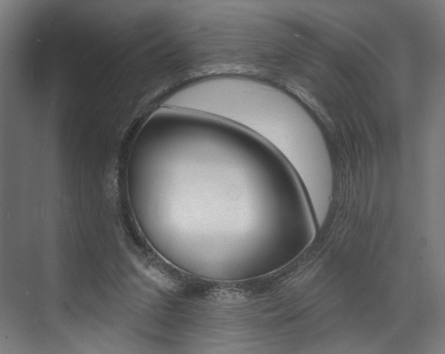 X0000074040207200608211211