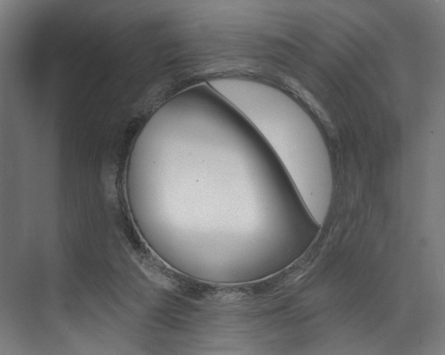 X0000074040209200608211211
