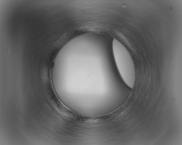 X0000074040213200608211211